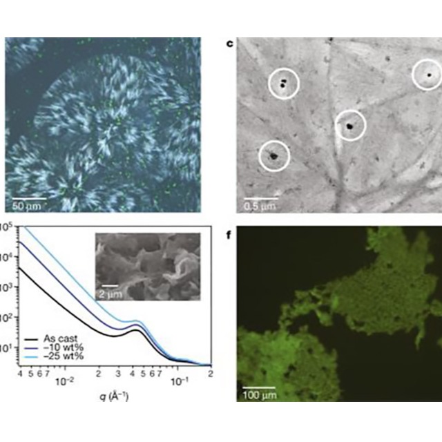 什么是可堆肥生物降解塑料？