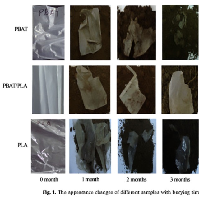 生物降解塑料在土壤里可以完全降解吗？