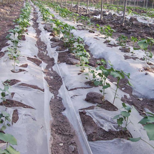 可降解料可以用在农业地膜上吗？