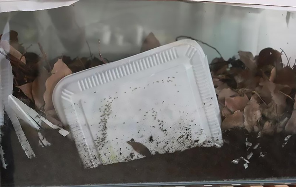 260-可堆肥塑料等同于生物降解塑料？配图